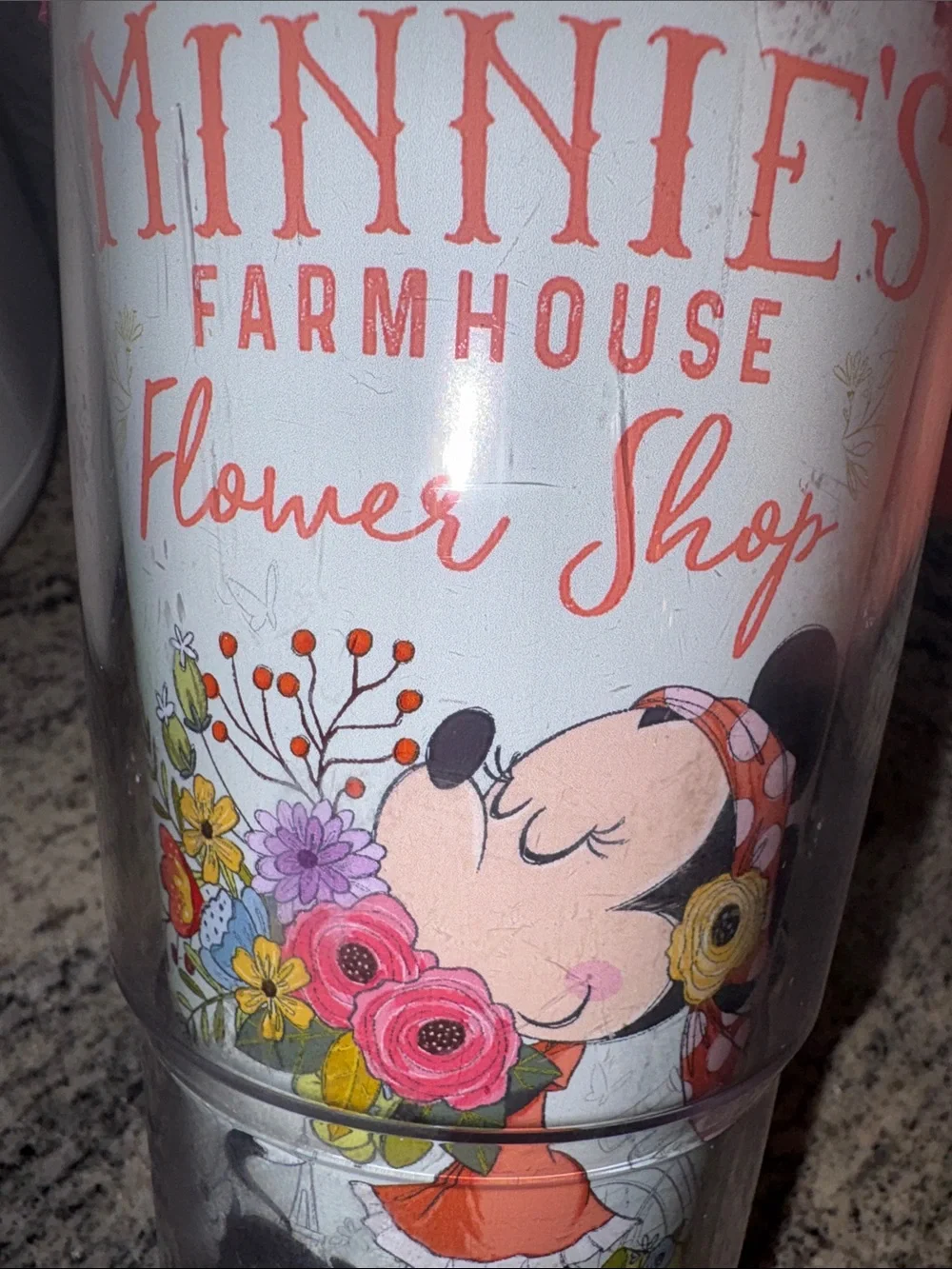 tervis Minnie Mouse Epcot Flower and Garden tumbler